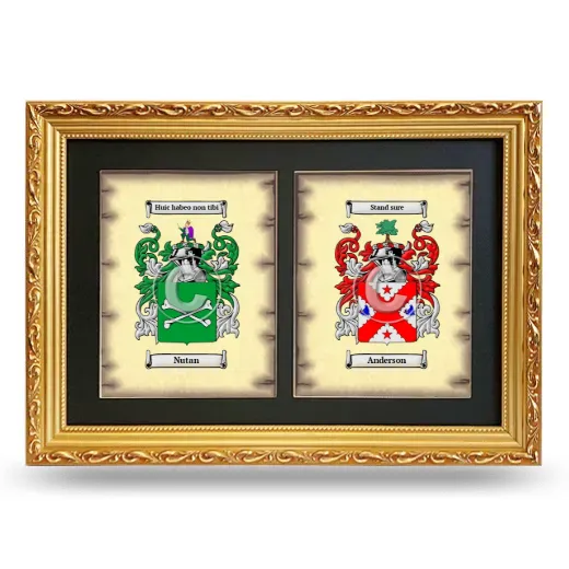 Double Coat of Arms Framed - Gold