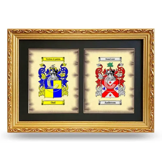 Double Coat of Arms Framed - Gold