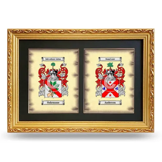 Double Coat of Arms Framed - Gold