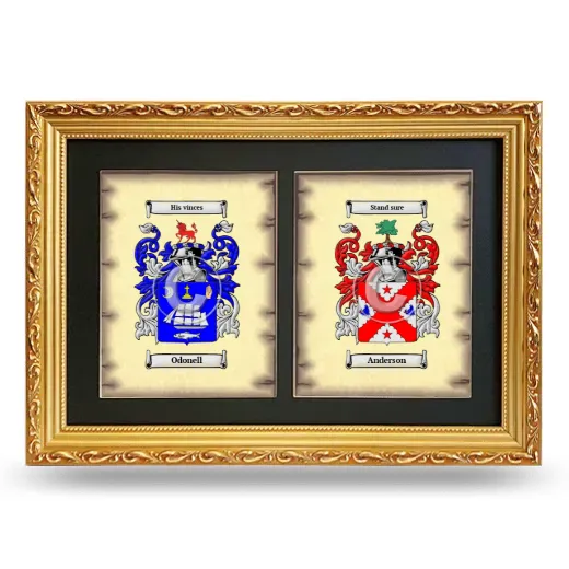 Double Coat of Arms Framed - Gold