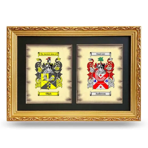 Double Coat of Arms Framed - Gold