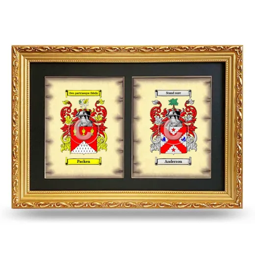 Double Coat of Arms Framed - Gold