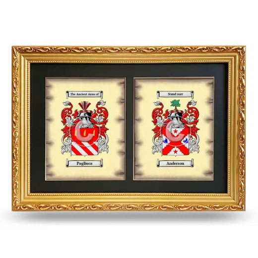 Double Coat of Arms Framed - Gold