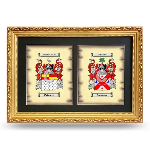 Double Coat of Arms Framed - Gold