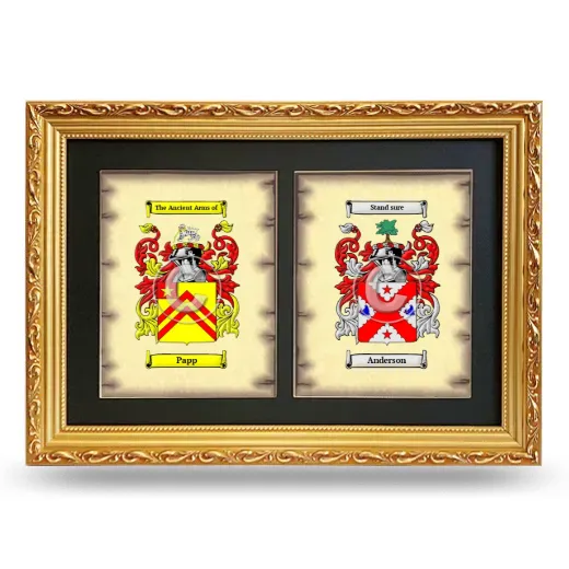 Double Coat of Arms Framed - Gold