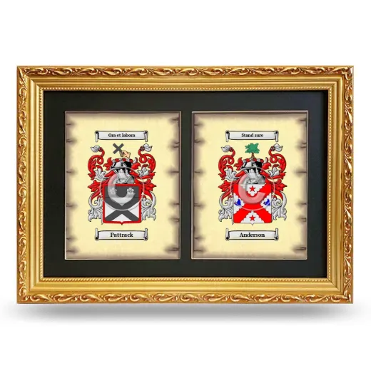 Double Coat of Arms Framed - Gold