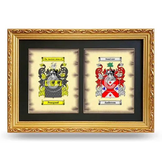 Double Coat of Arms Framed - Gold