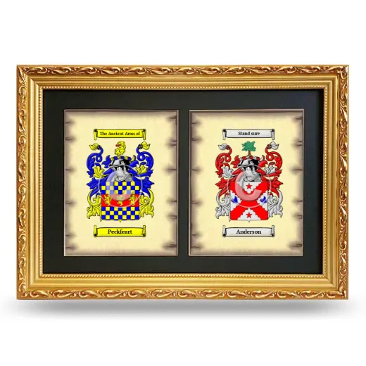 Double Coat of Arms Framed - Gold