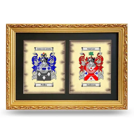 Double Coat of Arms Framed - Gold