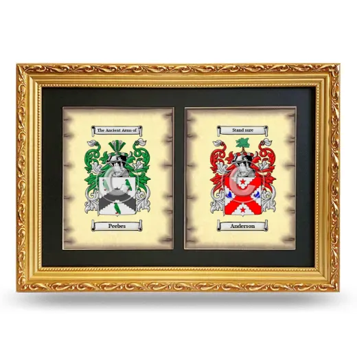 Double Coat of Arms Framed - Gold