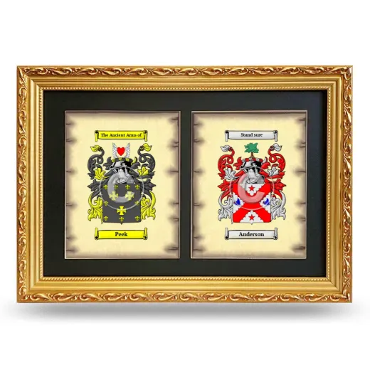 Double Coat of Arms Framed - Gold