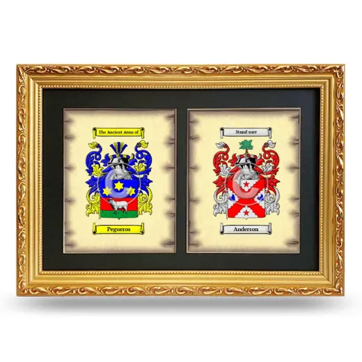 Double Coat of Arms Framed - Gold