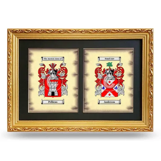 Double Coat of Arms Framed - Gold