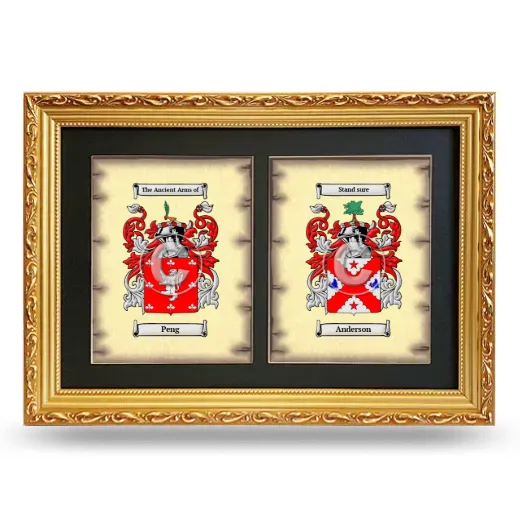 Double Coat of Arms Framed - Gold