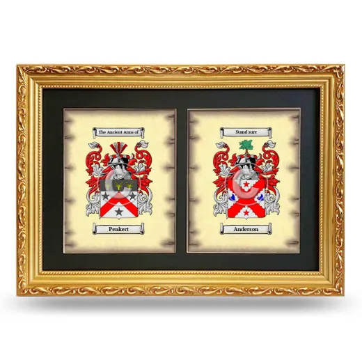 Double Coat of Arms Framed - Gold