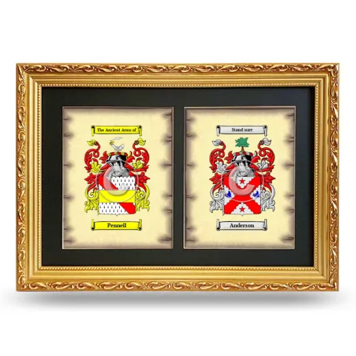 Double Coat of Arms Framed - Gold