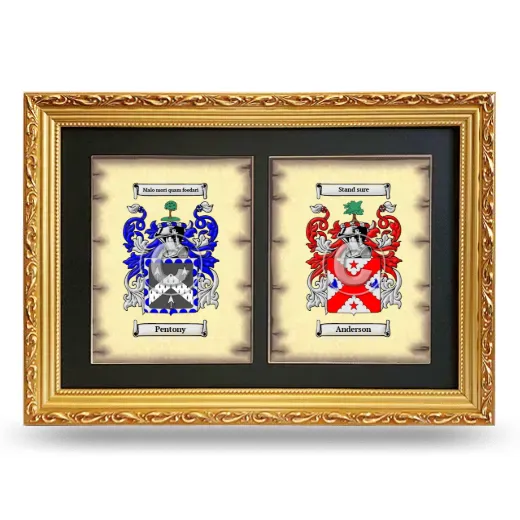 Double Coat of Arms Framed - Gold