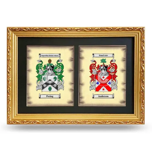 Double Coat of Arms Framed - Gold