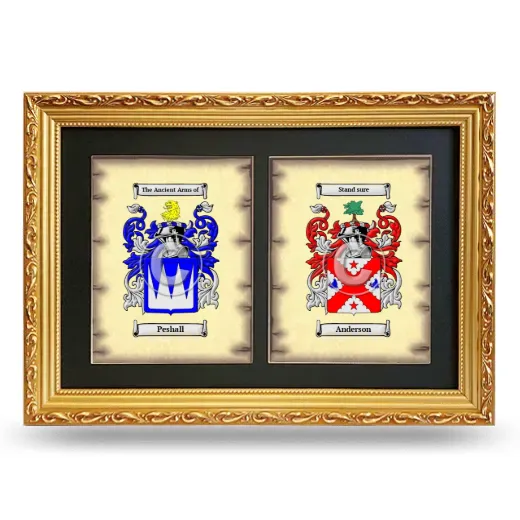 Double Coat of Arms Framed - Gold