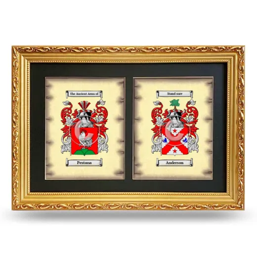 Double Coat of Arms Framed - Gold