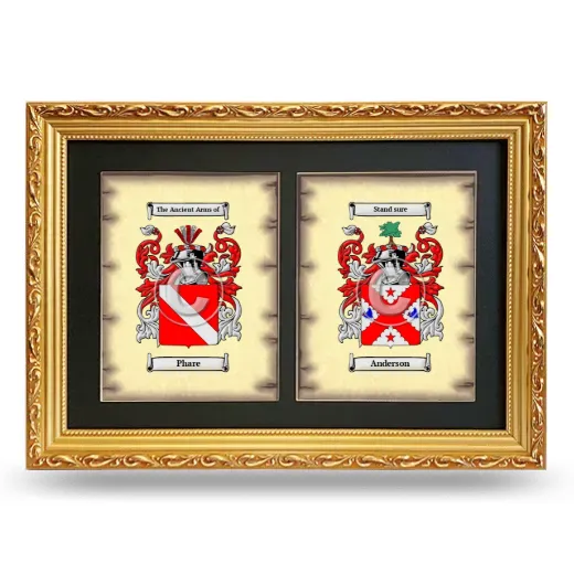 Double Coat of Arms Framed - Gold