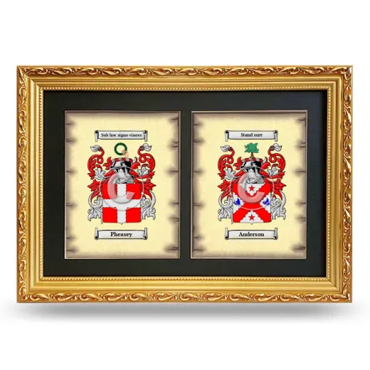 Double Coat of Arms Framed - Gold
