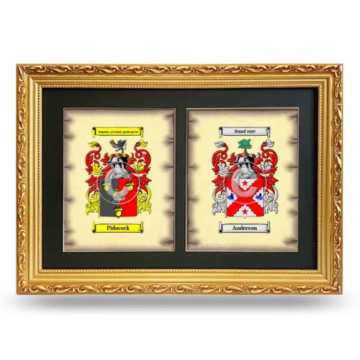 Double Coat of Arms Framed - Gold