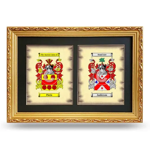 Double Coat of Arms Framed - Gold
