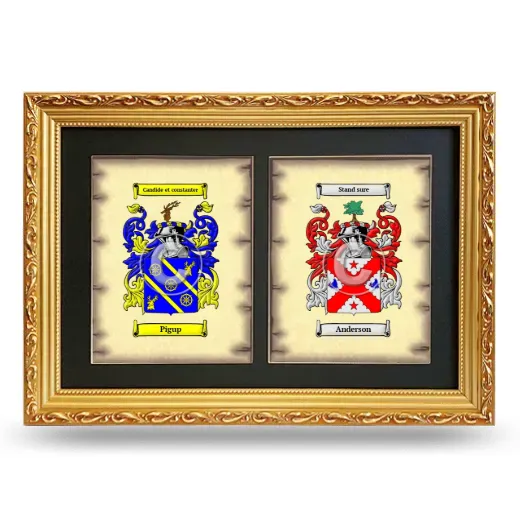 Double Coat of Arms Framed - Gold
