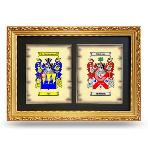 Double Coat of Arms Framed - Gold