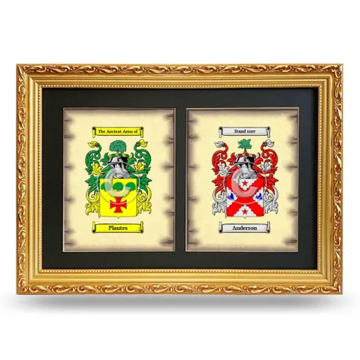Double Coat of Arms Framed - Gold