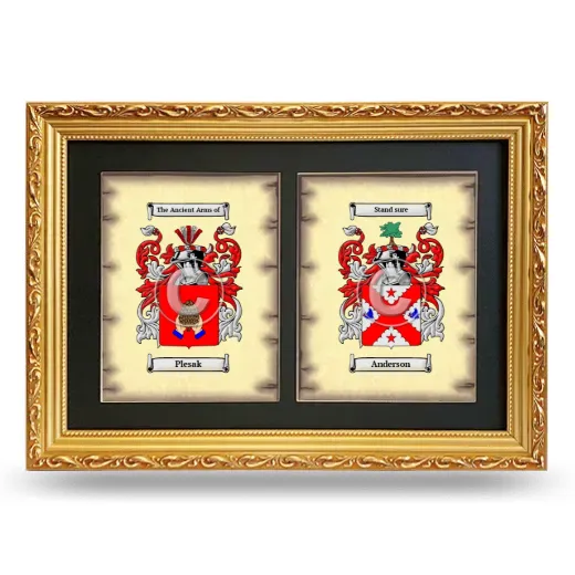 Double Coat of Arms Framed - Gold