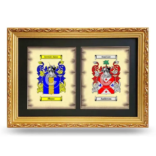 Double Coat of Arms Framed - Gold