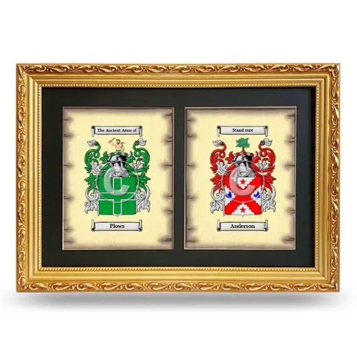 Double Coat of Arms Framed - Gold