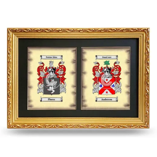 Double Coat of Arms Framed - Gold