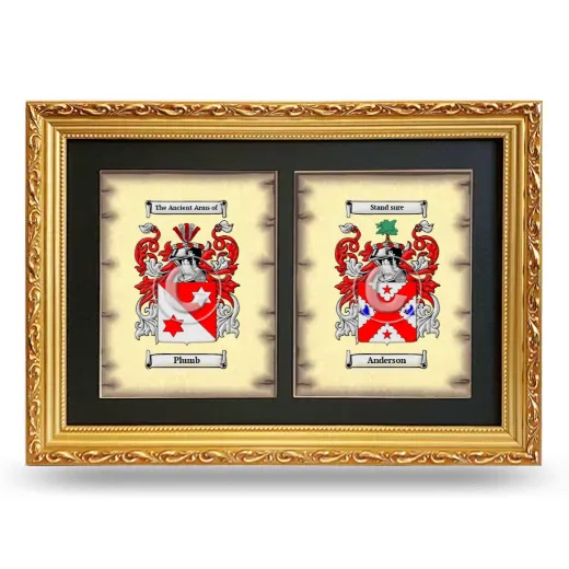 Double Coat of Arms Framed - Gold