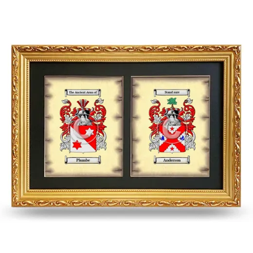 Double Coat of Arms Framed - Gold