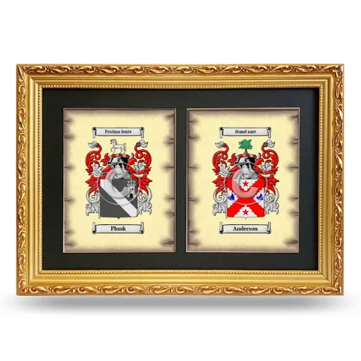 Double Coat of Arms Framed - Gold