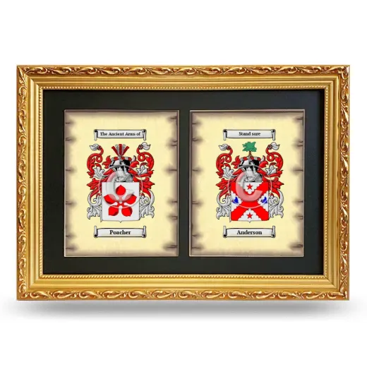 Double Coat of Arms Framed - Gold