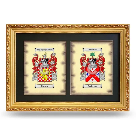 Double Coat of Arms Framed - Gold