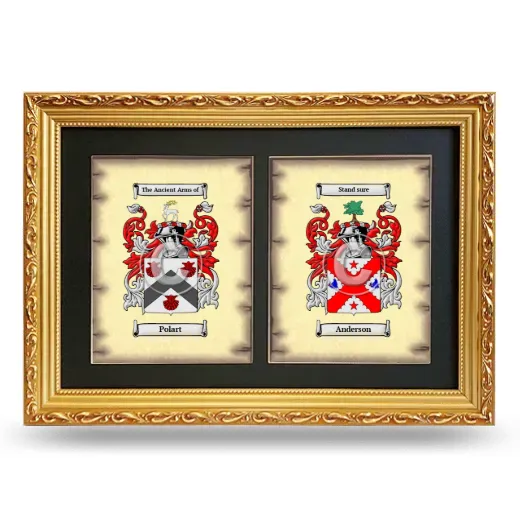 Double Coat of Arms Framed - Gold