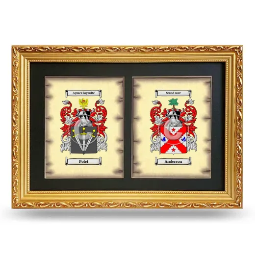 Double Coat of Arms Framed - Gold
