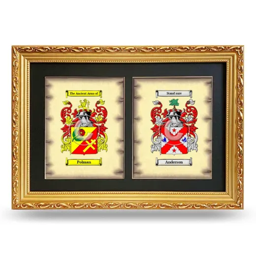 Double Coat of Arms Framed - Gold