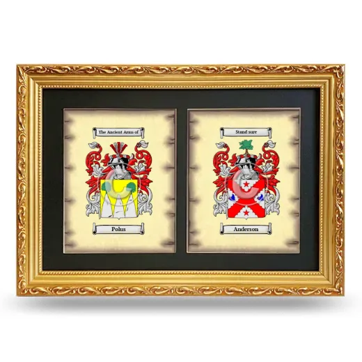 Double Coat of Arms Framed - Gold