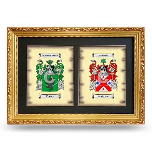 Double Coat of Arms Framed - Gold