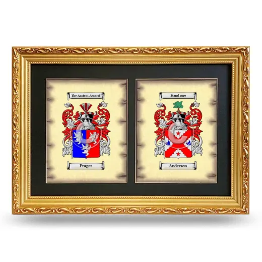 Double Coat of Arms Framed - Gold