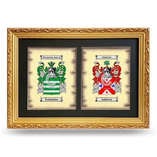 Double Coat of Arms Framed - Gold