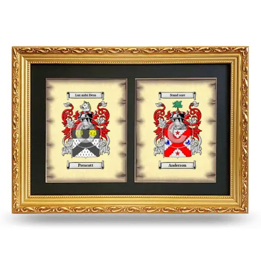 Double Coat of Arms Framed - Gold