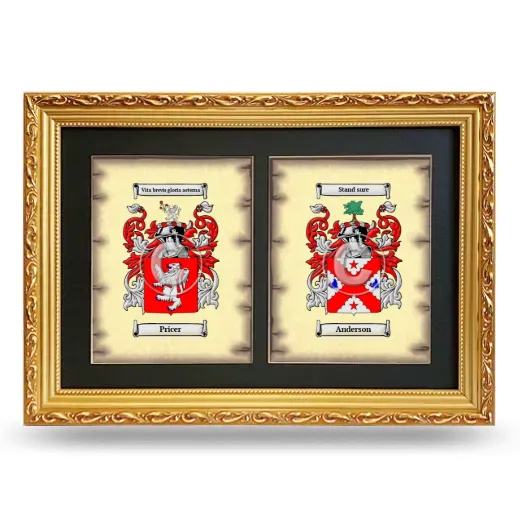 Double Coat of Arms Framed - Gold