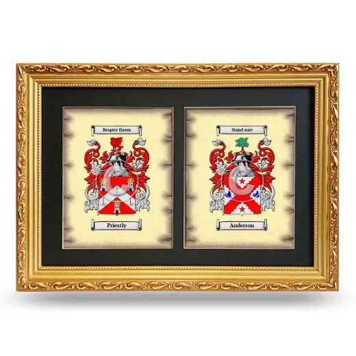 Double Coat of Arms Framed - Gold